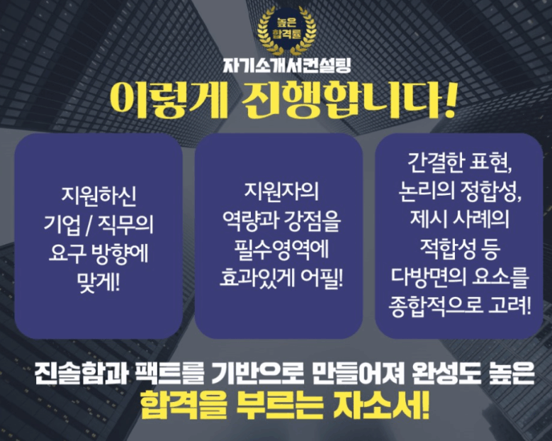 사람인 채용공고 자기소개서첨삭작성대필, 합격후기,  -대기업/공기업/공무원/생산직/병원/대학교/대학원